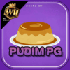 Logo da PUDIMPG